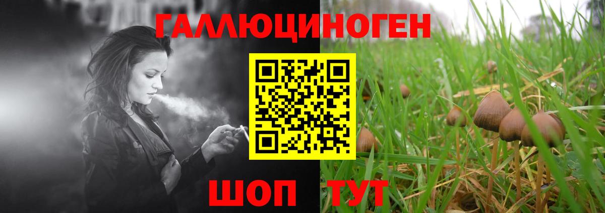 Псилоцибиновые грибы Psilocybe  Псилоцибиновые грибы Magic Shrooms  Вход с VPN  Евпатория 